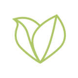 Safe and natural icon